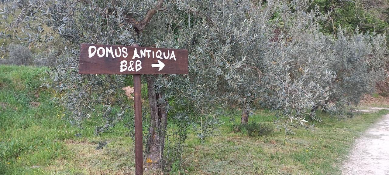 Domus Antiqua Bed & Breakfast Spello Eksteriør bilde