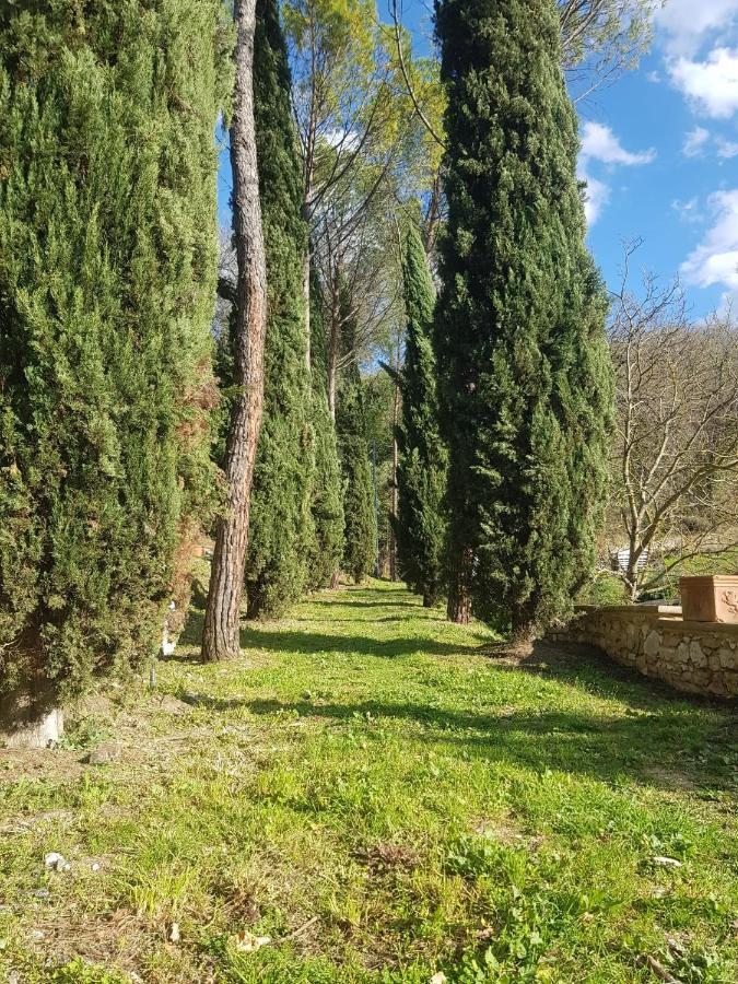 Domus Antiqua Bed & Breakfast Spello Eksteriør bilde
