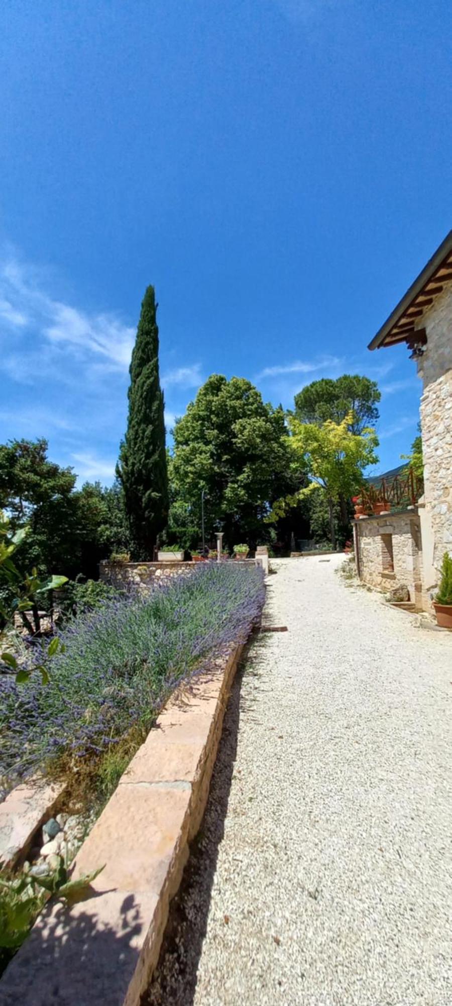 Domus Antiqua Bed & Breakfast Spello Eksteriør bilde